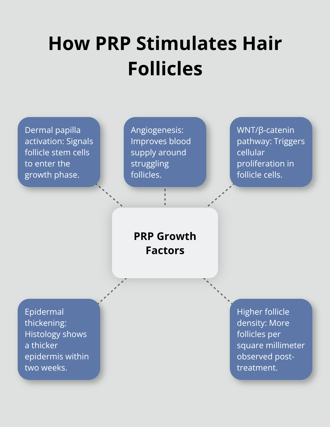 Diagram showing PRP growth factor mechanisms that promote hair growth - prp hair restoration